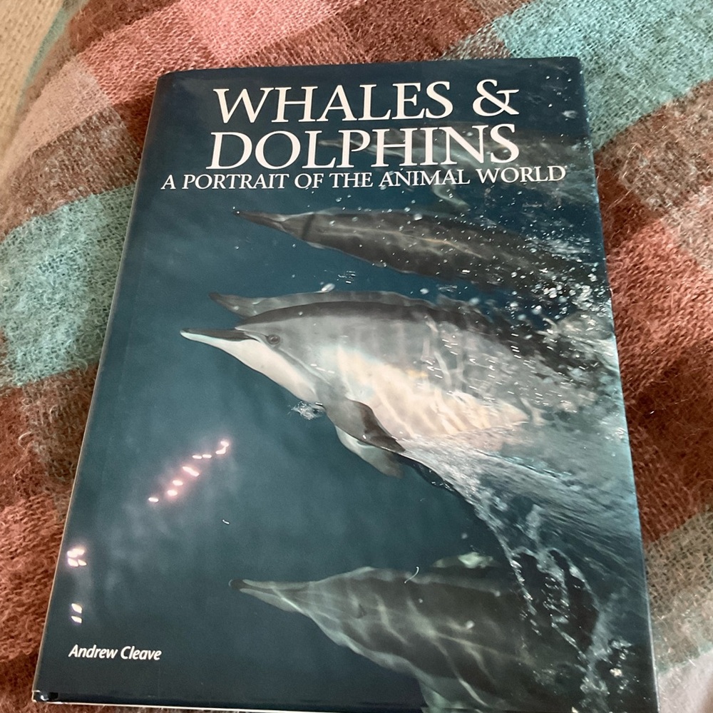 Whales and Dolphins:  a Portrait of the Animal World